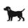 dog-icon-1